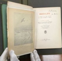 FA2017.3.33 BIRD LIFE A GUIDE TO THE STUDY OF OUR COMMON BIRDS TITLE PAGE